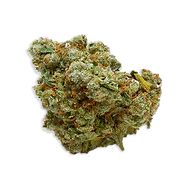weed-in-dc.png
